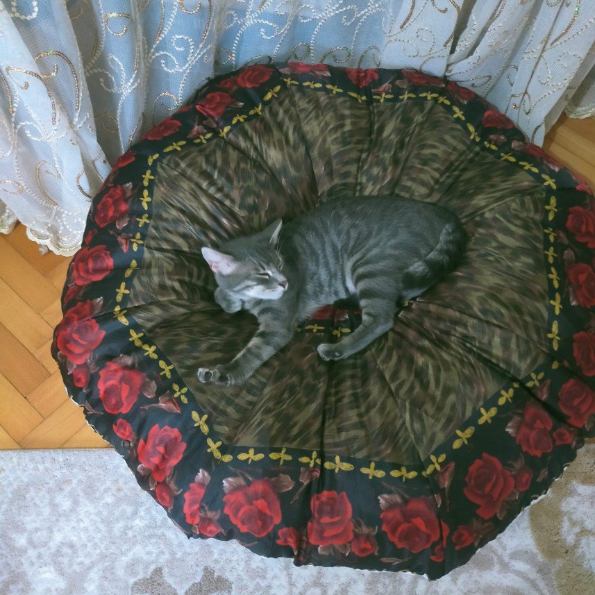 Ramazan Kürşat  Özdemir