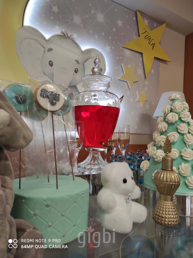 Renklikareler Organizasyon