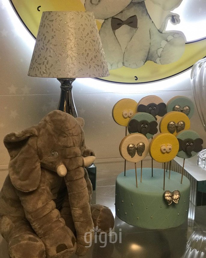 Renklikareler Organizasyon