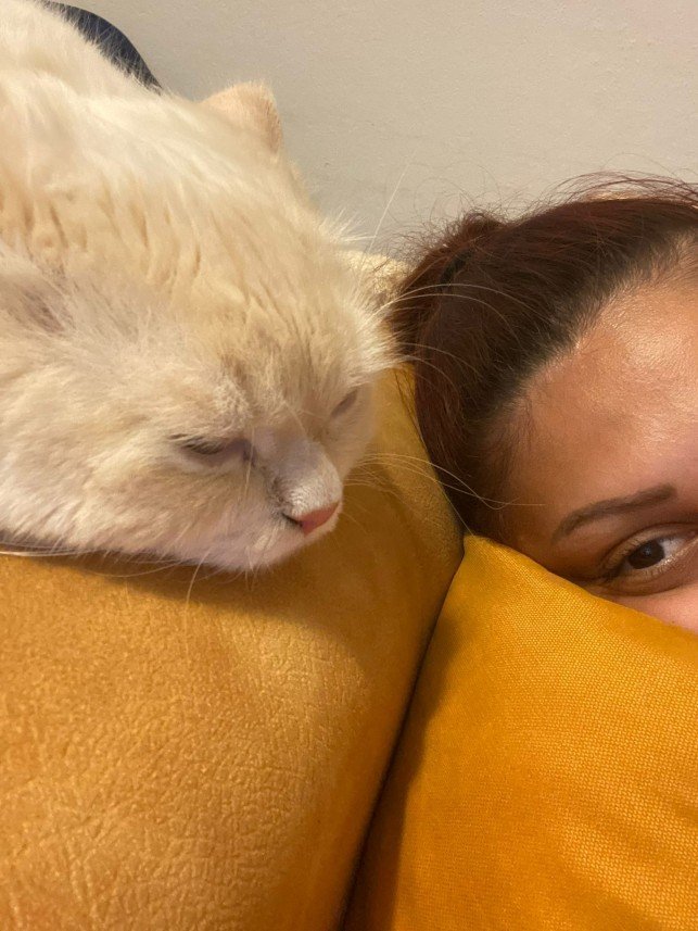 Mırmır Kedi Köpek Oteli