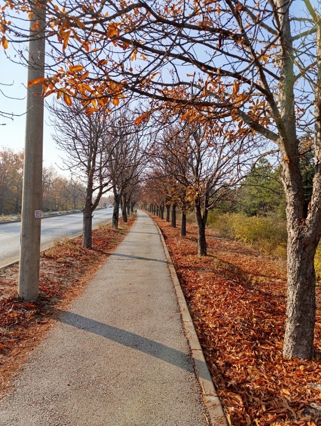 Sabri Berk Çırpanlı