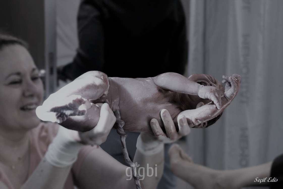 Secil Edis Photography