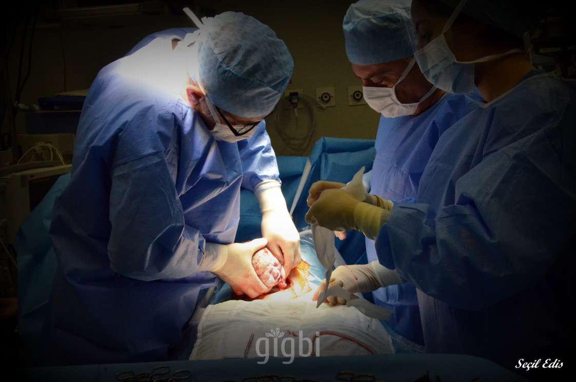 Secil Edis Photography