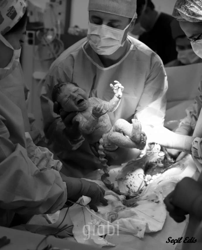 Secil Edis Photography