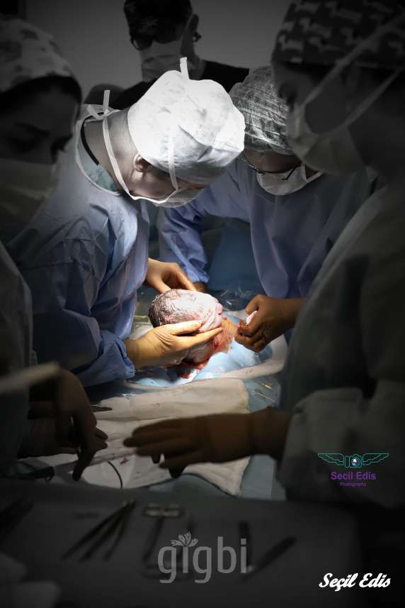 Secil Edis Photography