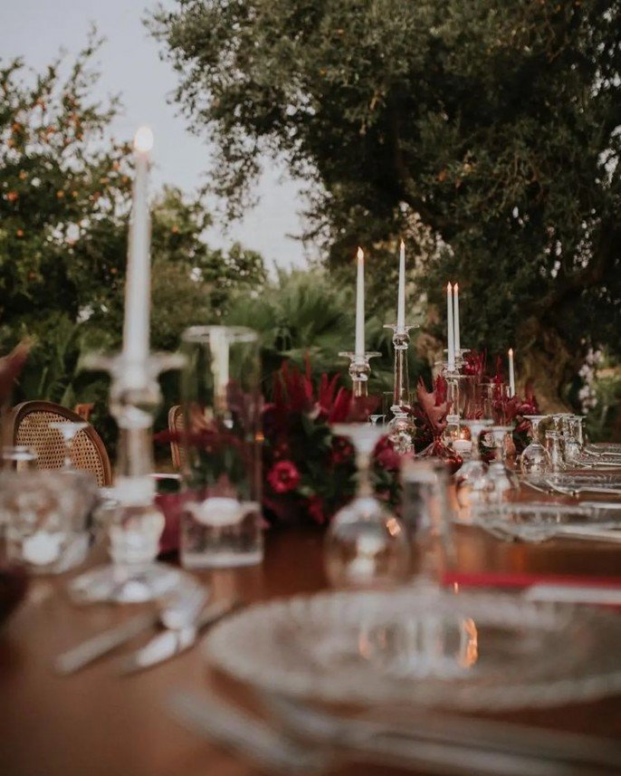 Seçil Orhan Concept 