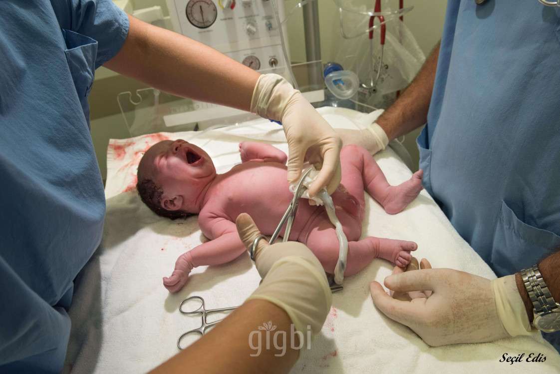 Secil Edis Photography