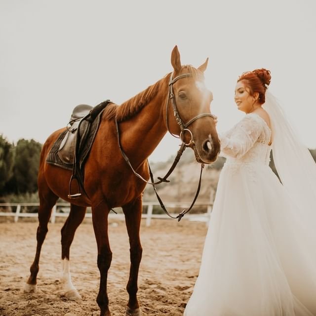 S. & E. T. Photography