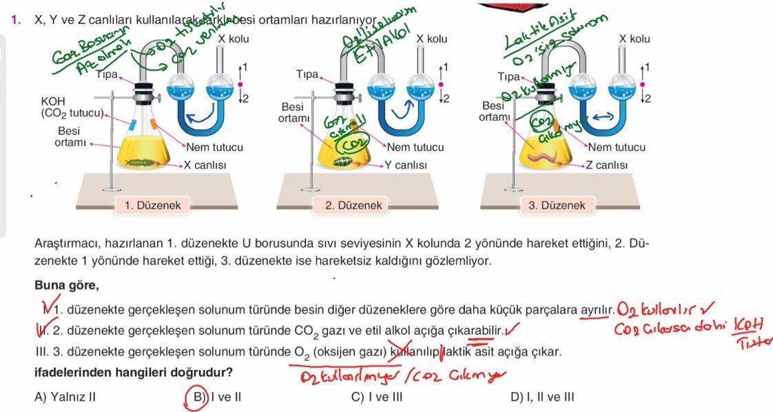 Sefa Bil.