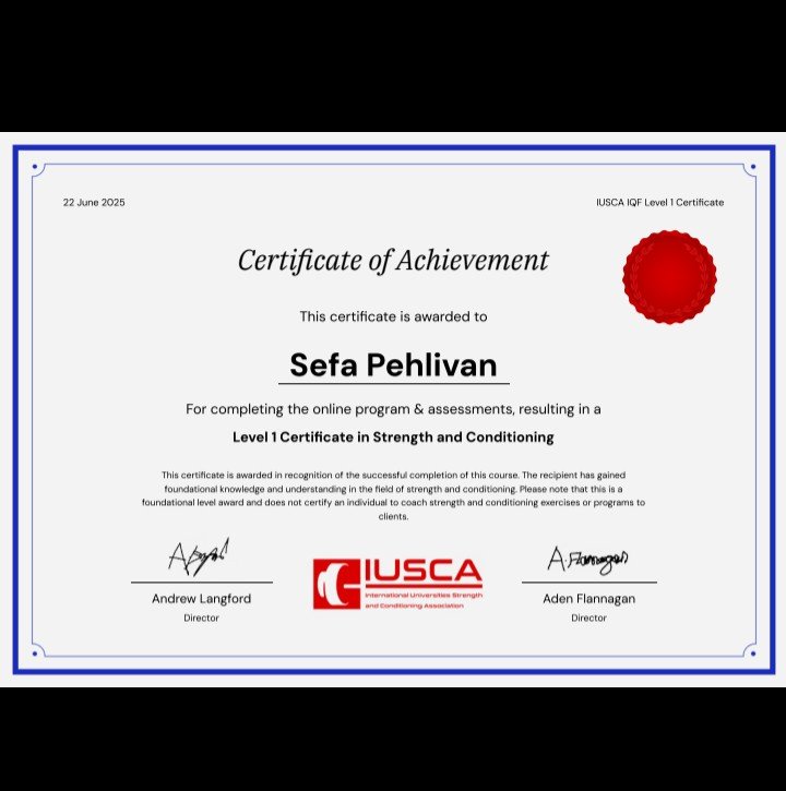 Sefa Pehlivan