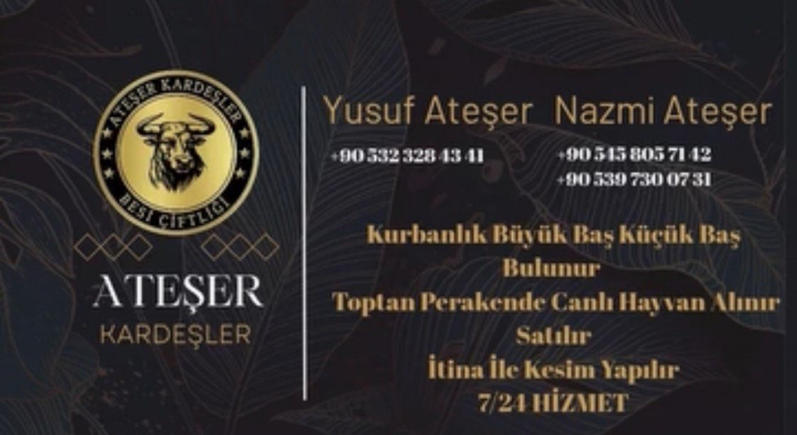 Selçuk Delikuş