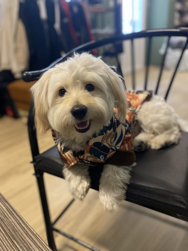 Selen Kömürcüoğlu