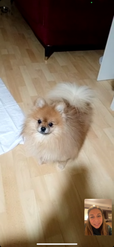 Selen Kömürcüoğlu