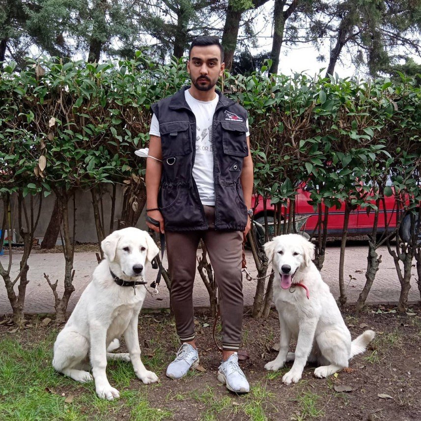 SemPati Köpek Egitim Merkezi