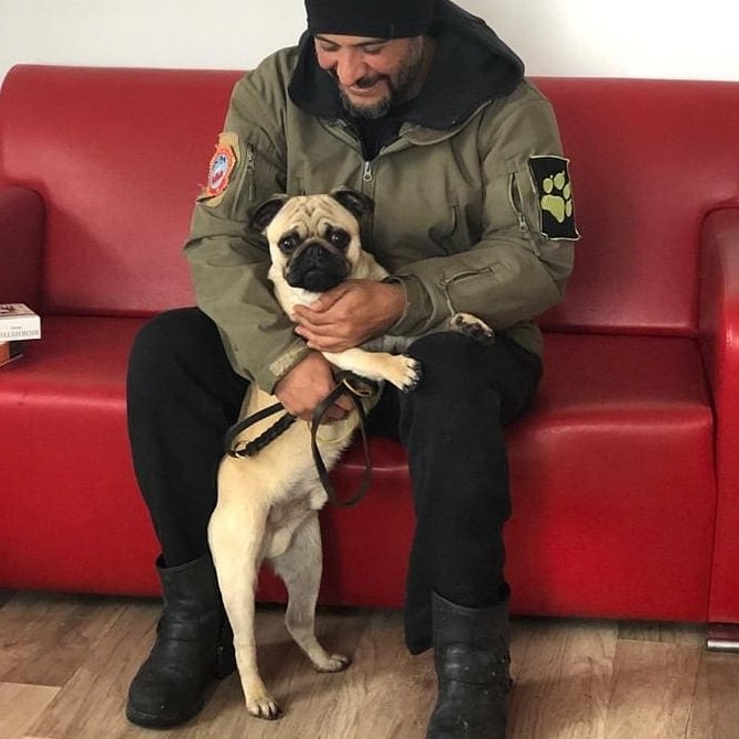 Sempati köpek okulu