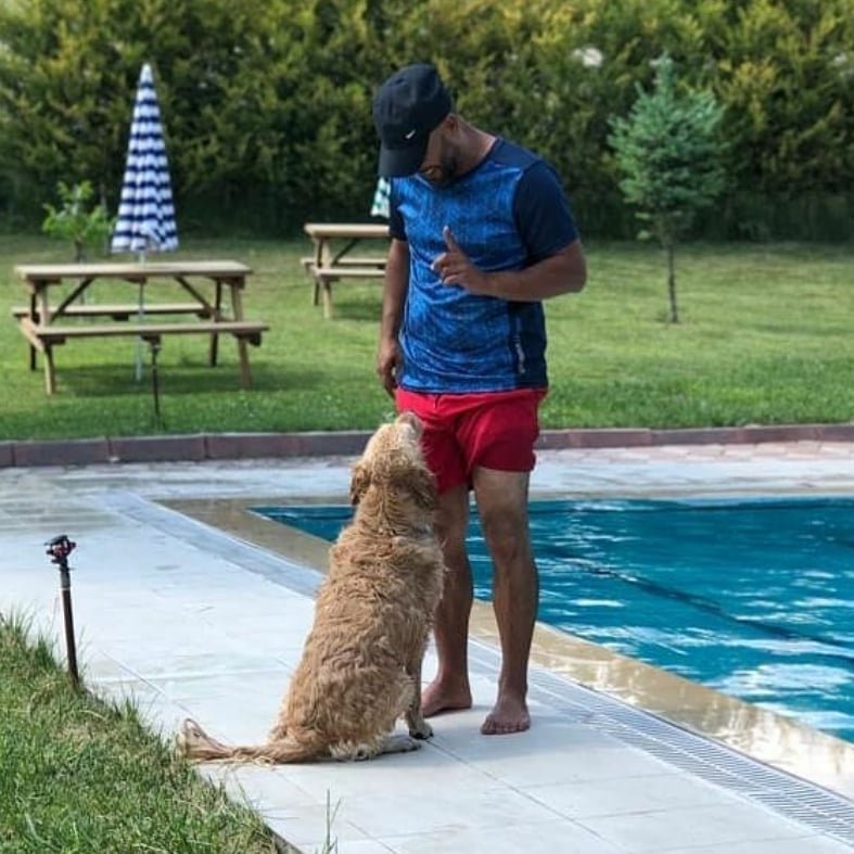 Sempati köpek okulu