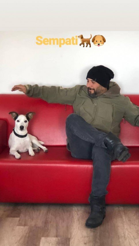 Sempati köpek okulu