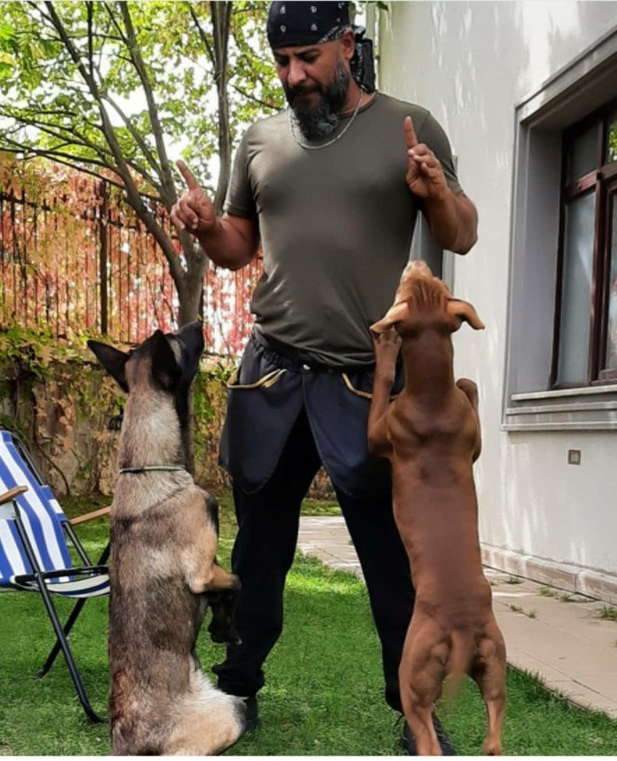 Sempati köpek okulu