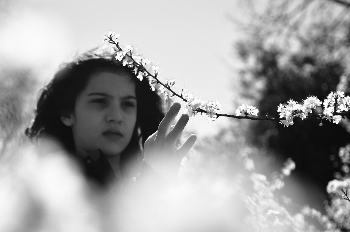 Serap Özbek Fotoğrafçılık