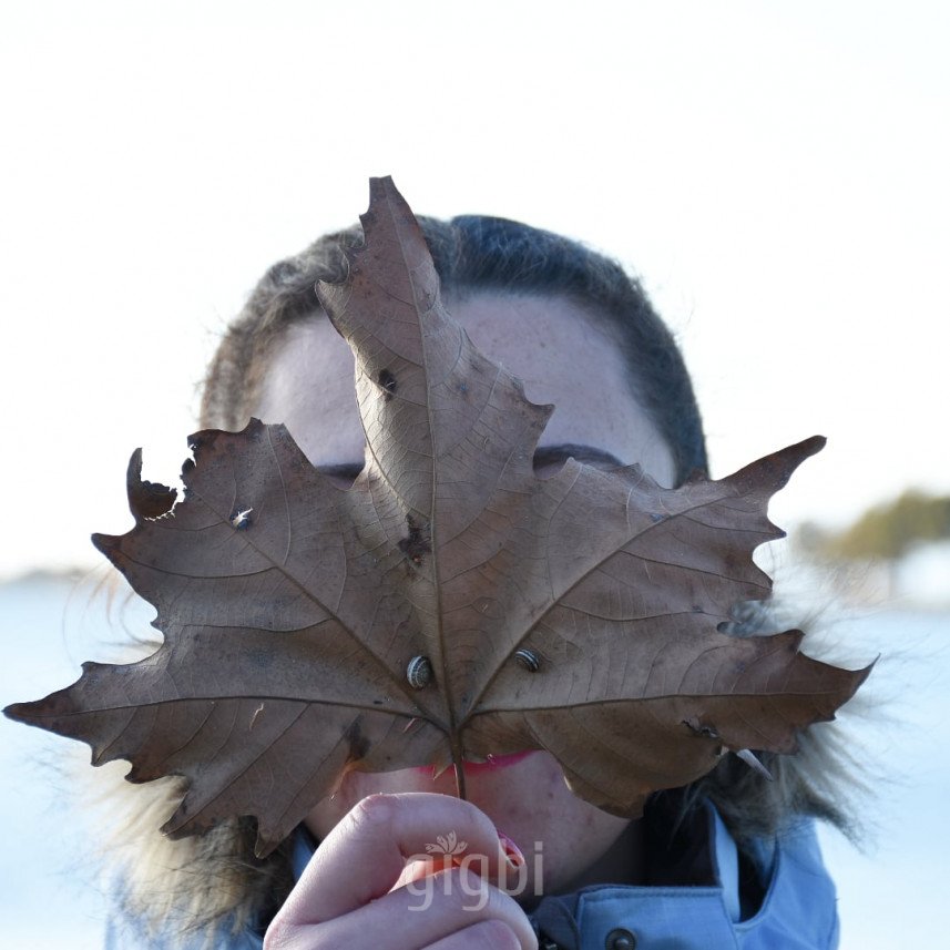 Sercan Özyurt Fotoğrafçılık