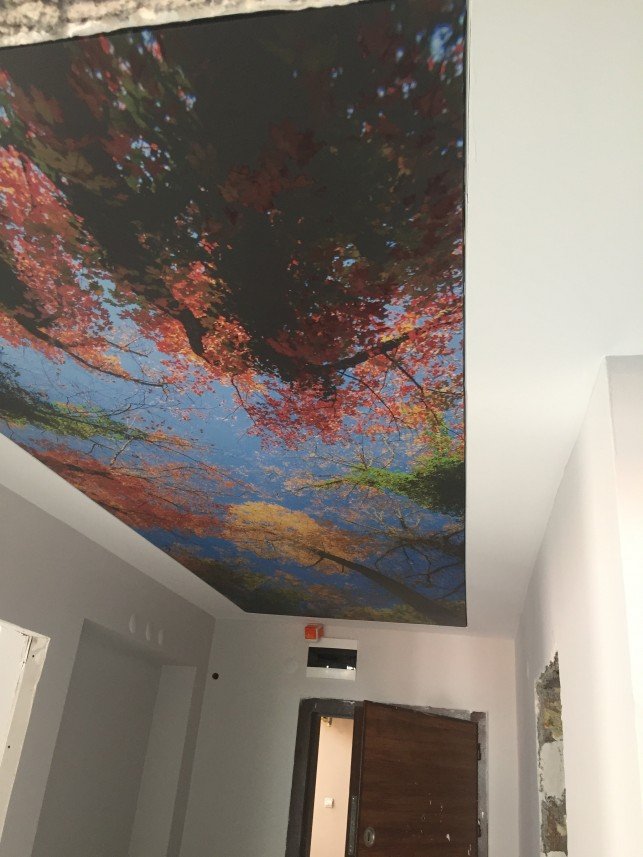 Serdar Ümmet Erkmen