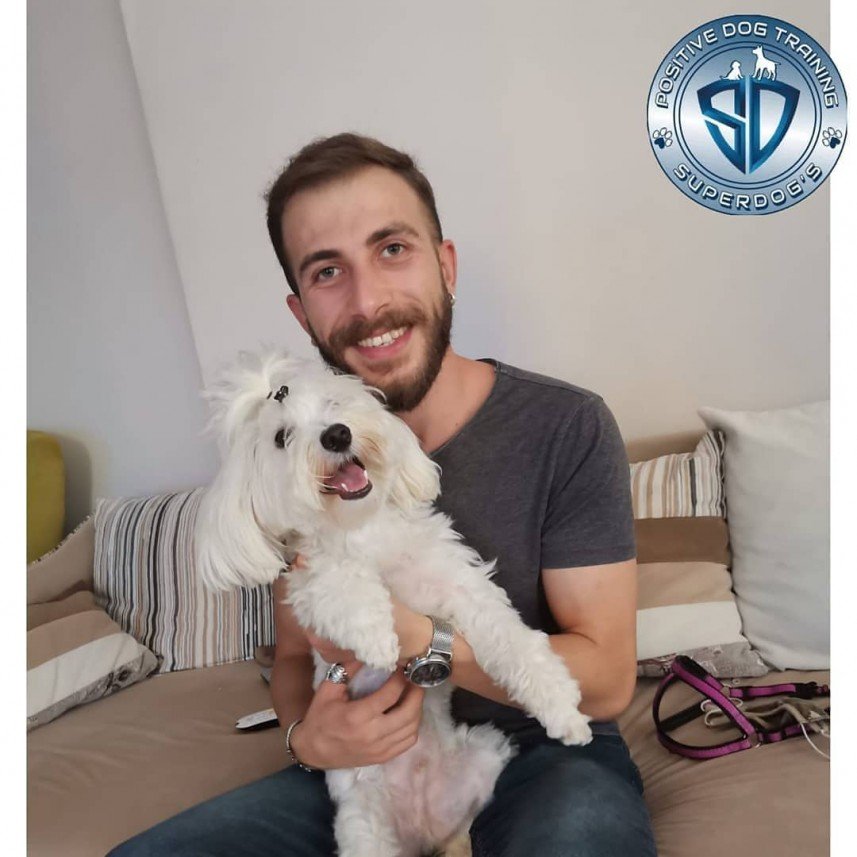 Kastamonu Köpek Koleji 