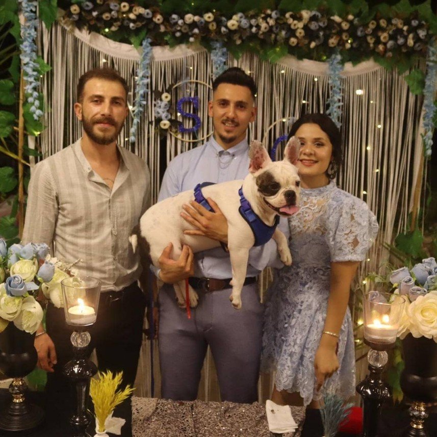 Kastamonu Köpek Koleji 