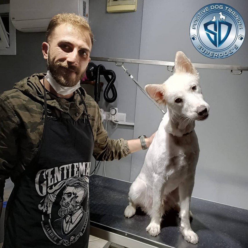 Kastamonu Köpek Koleji 