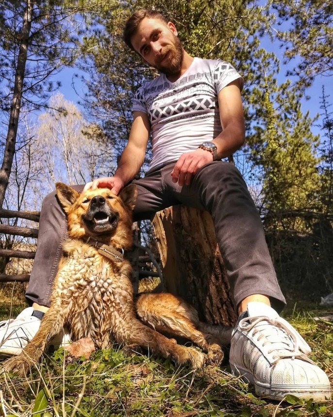 Kastamonu Köpek Koleji 