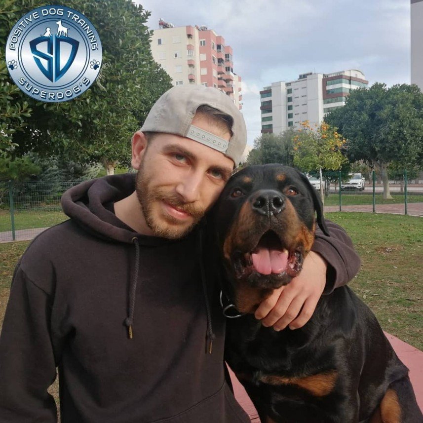 Kastamonu Köpek Koleji 