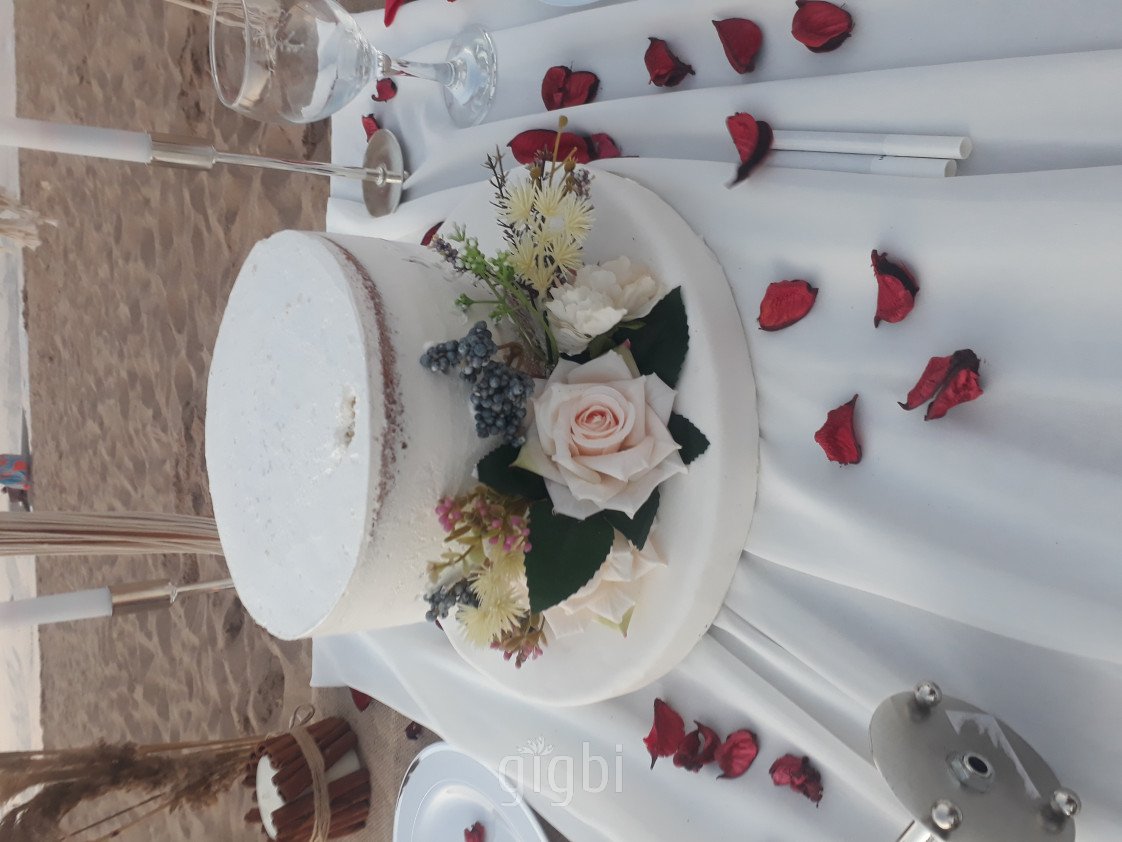 Sevinç & Fidan Organizasyon