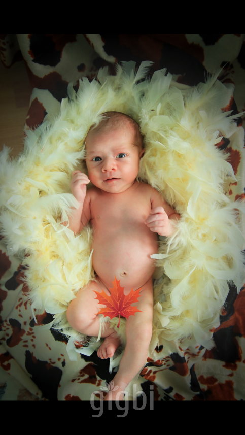 Sezcan Derin Fotoğrafçılık