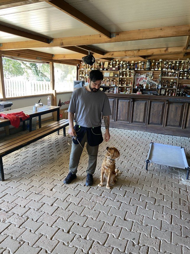 Şiar Deniz Hazırcı