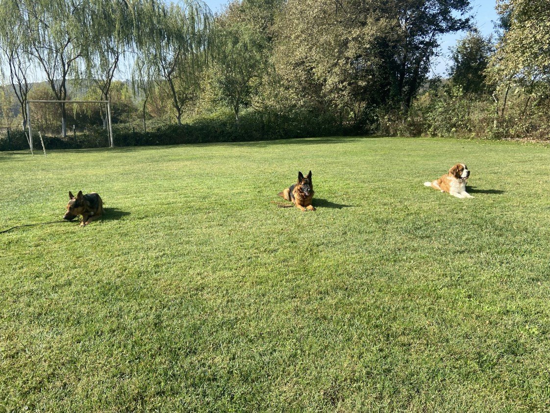 Şiar Deniz Hazırcı