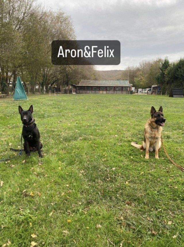 Şiar Deniz Hazırcı