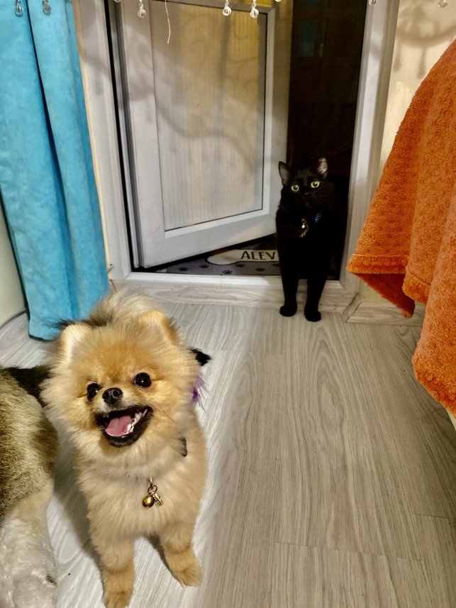 Sıla Medine Öztürk