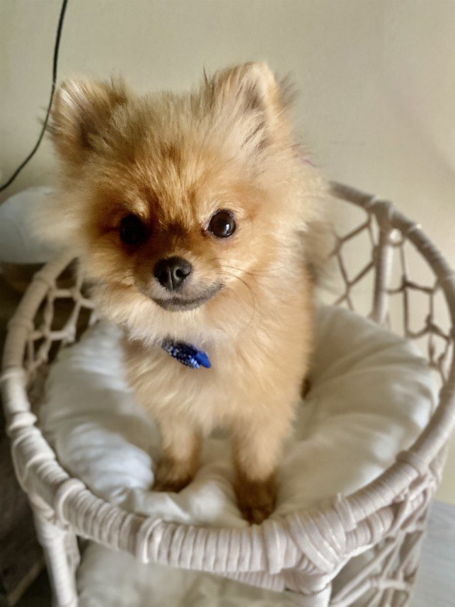 Sıla Medine Öztürk