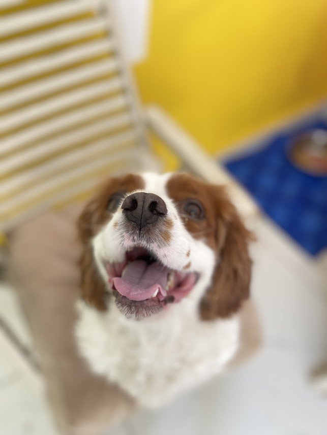 Sıla Medine Öztürk