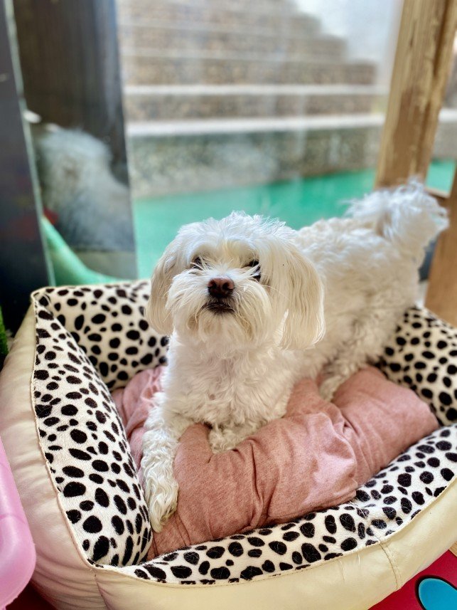 Sıla Medine Öztürk