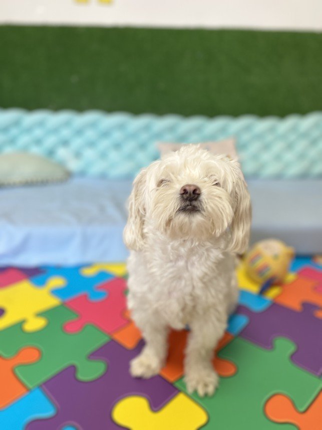 Sıla Medine Öztürk