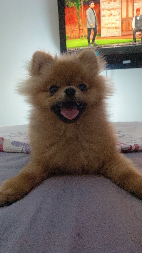 Sıla Medine Öztürk