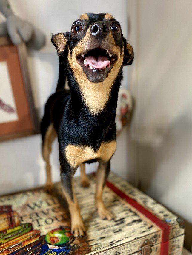 Sıla Medine Öztürk