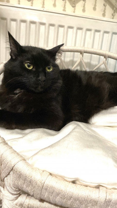 Sıla Medine Öztürk