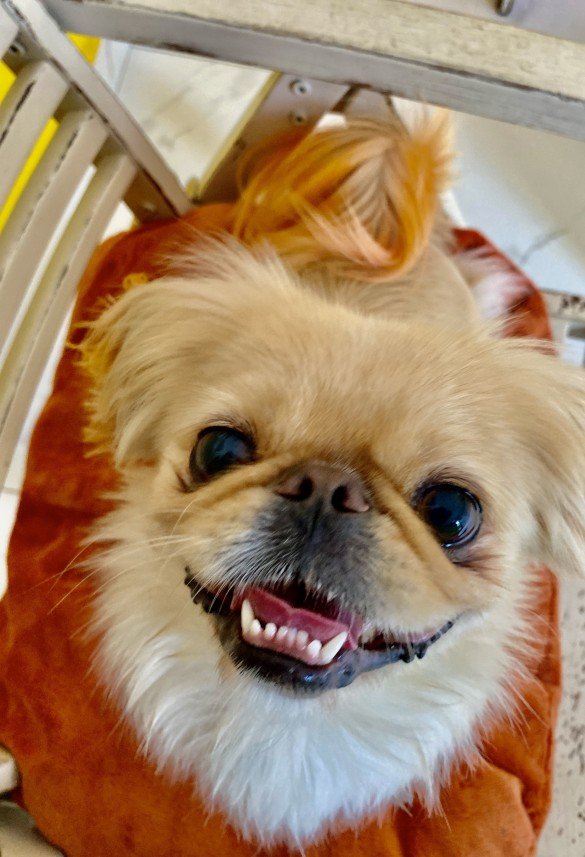 Sıla Medine Öztürk