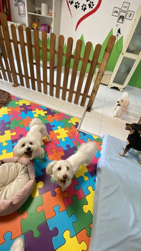 Sıla Medine Öztürk