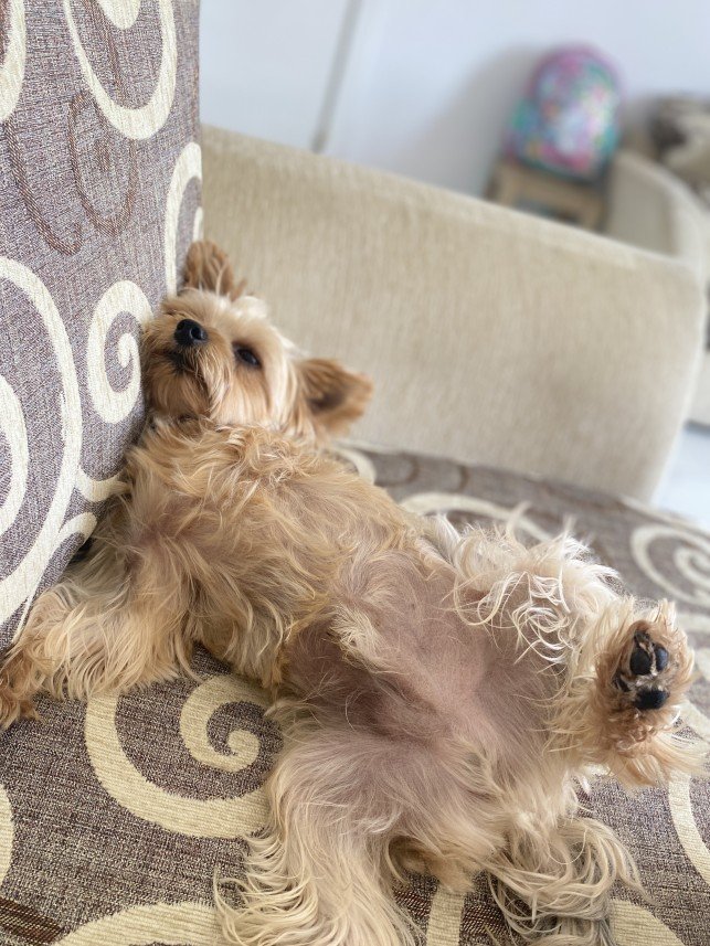 Sıla Medine Öztürk