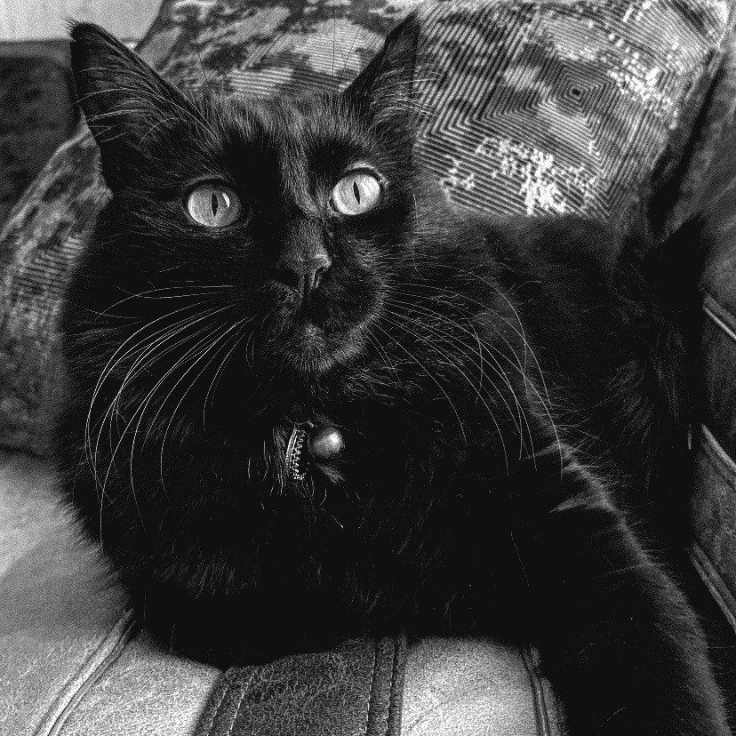 Sıla Medine Öztürk