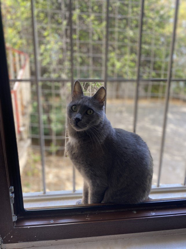 Sıla Medine Öztürk