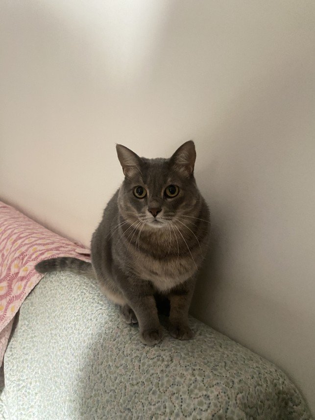 Sıla Medine Öztürk