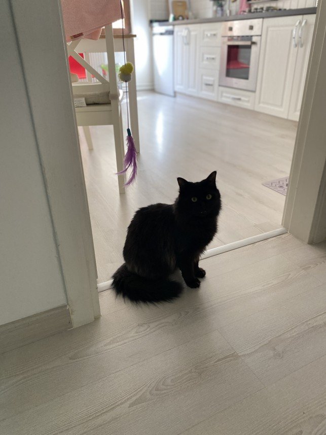 Sıla Medine Öztürk